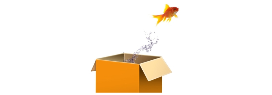 Going Beyond
the Box
to provide Solutions